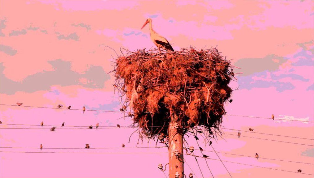 Videoinstallation im Rahmen der Ateliertage Sulzburg/Laufen 2015