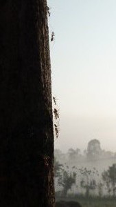 P1000870