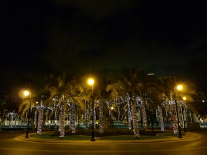 P1030284